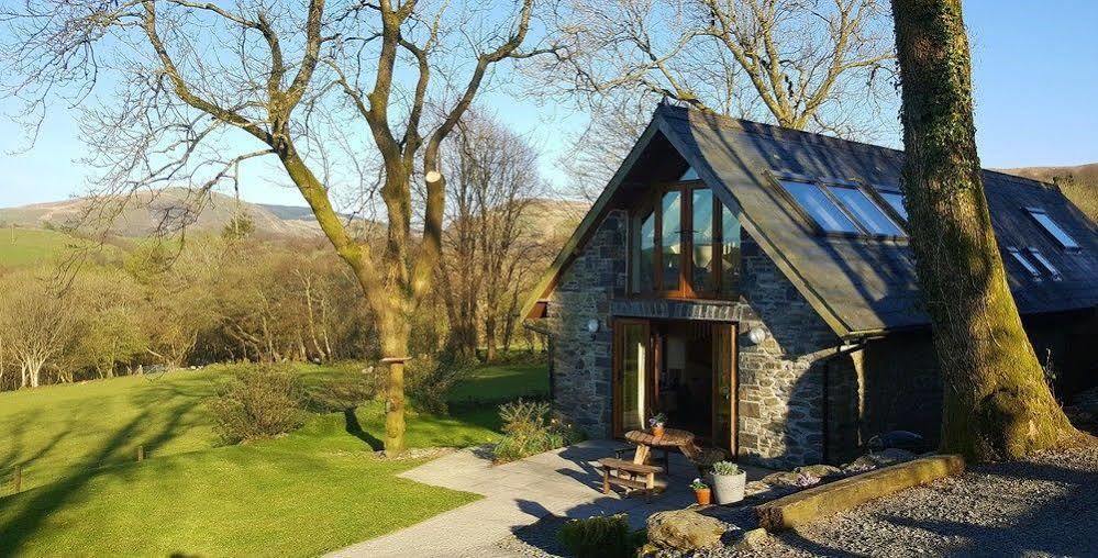 Nant Yr Onnen B&B And Holiday Cottage Tregaron Exterior photo