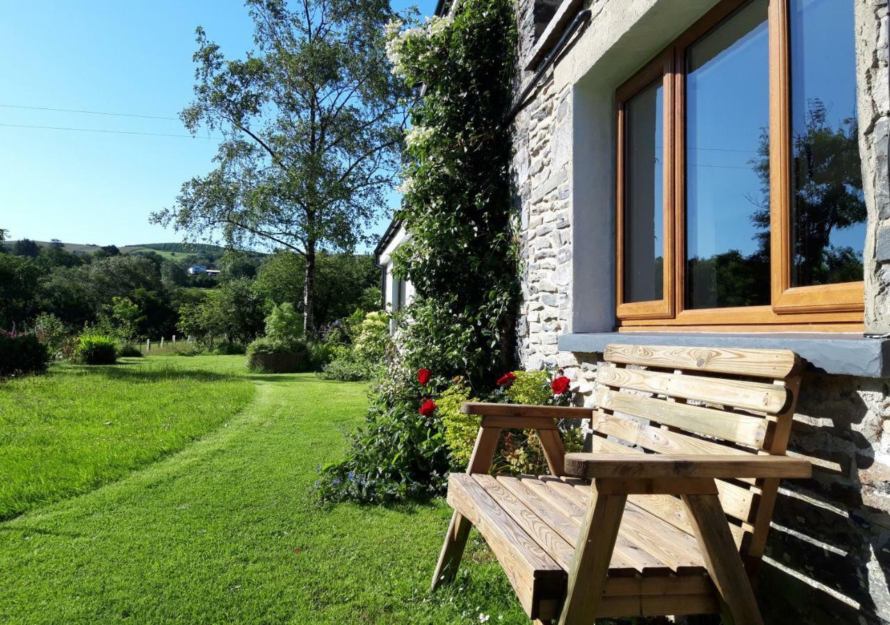 Nant Yr Onnen B&B And Holiday Cottage Tregaron Exterior photo
